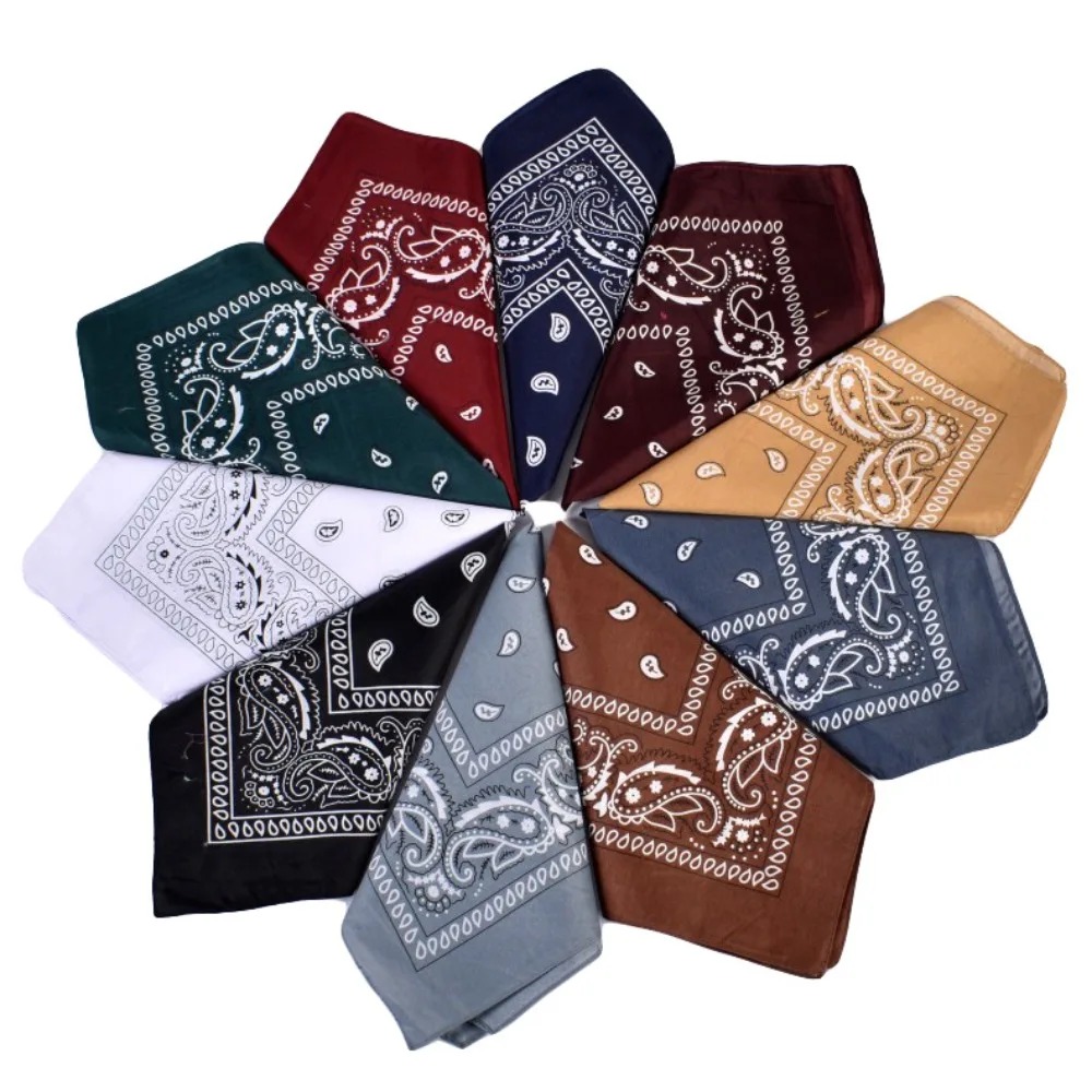 Hip Hop Cowboy Paisley Scarf L - Bandana Blank White 评论和价格